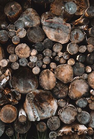 Alt, du skal vide om brænde