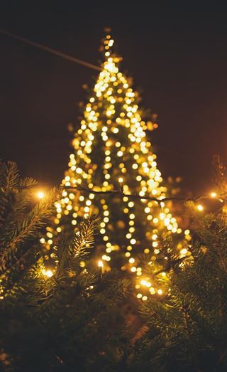 LED Juletræer: Den moderne og miljøvenlige måde at pynte op til jul