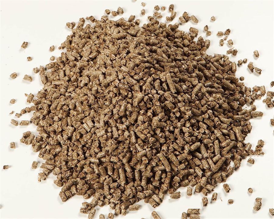 Den ultimative guide til det bedste strøelse til hesteboksen