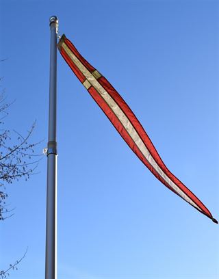 Flag.nu tilbyder vimpler og flagstænger